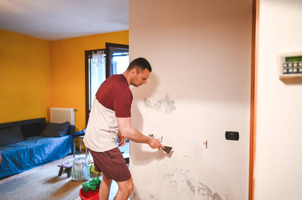 Best Crawl Space Mold Removal  in Felton, CA